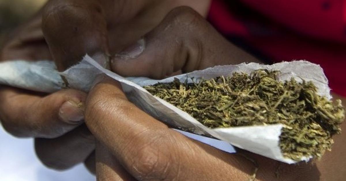 Just In: Parliament Grant Approval On The Use Of  "Marijuana"