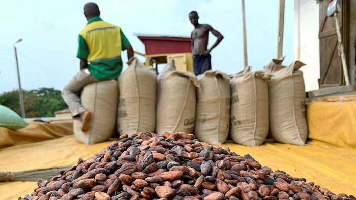 Ghana importing cocoa beans from Nigeria, Ivory Coast amid destruction of farms by galamsey